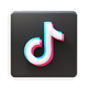 icons8-tiktok-80.png